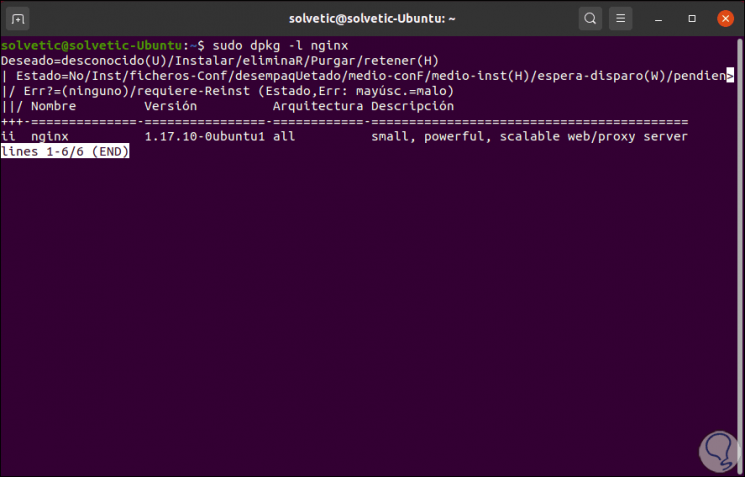 install-web-server-nginx-on-Ubuntu-20.10-5.png