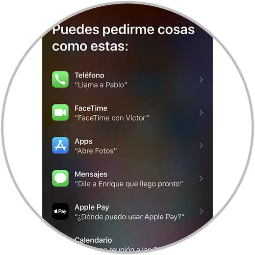 aktiviere und benutze Siri auf dem iPhone iPhone 12 4.jpg