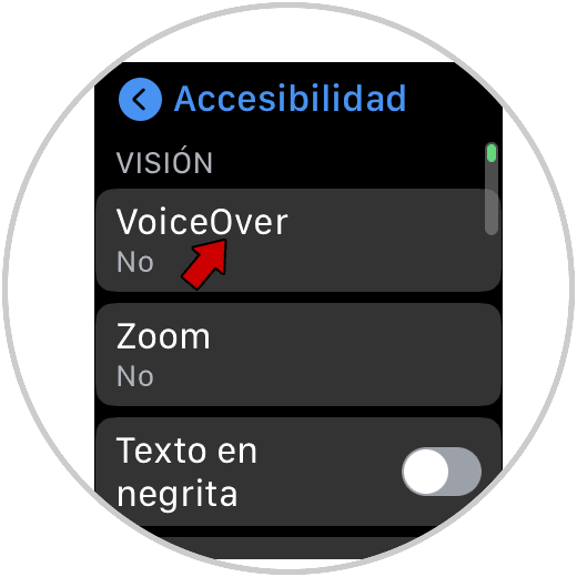 Disable-VoiceOver-Apple-Watch-03.png