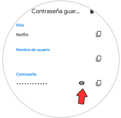 5-view-netflix-password-in-chrome.png