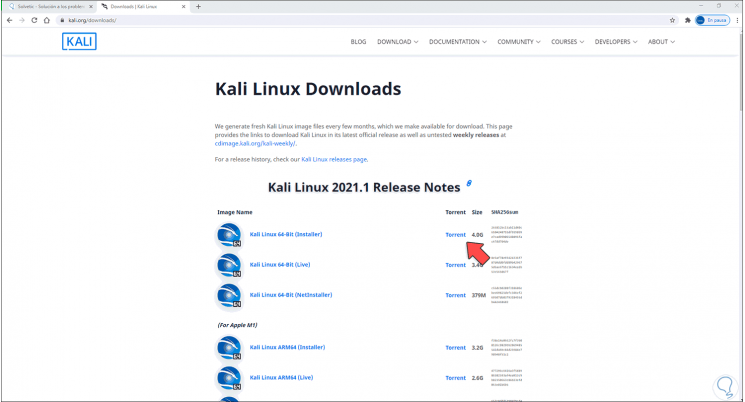 2-Install-Kali-Linux-2021-de-VMware.png