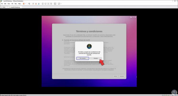 39-How-to-configure-macOS-12-Monterey-in-VMware.jpg