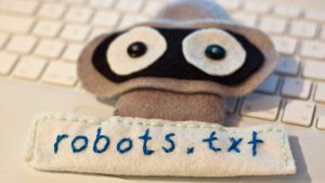 Konfigurieren Sie die robots.txt-Datei für WordPress