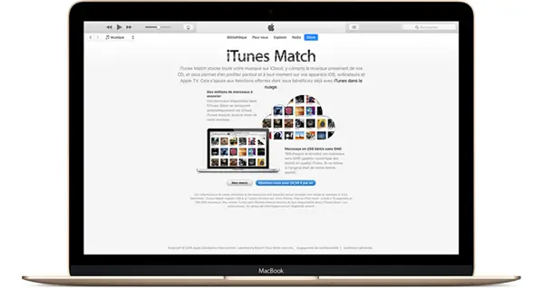 Erste Schritte mit iTunes auf dem Mac