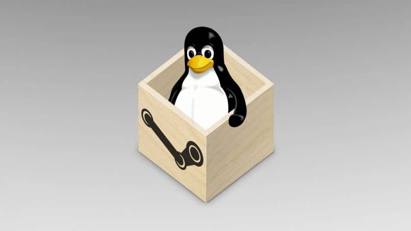 Linux-Emblem-Pinguin in einer Box