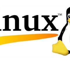 Originales Linux-Emblem