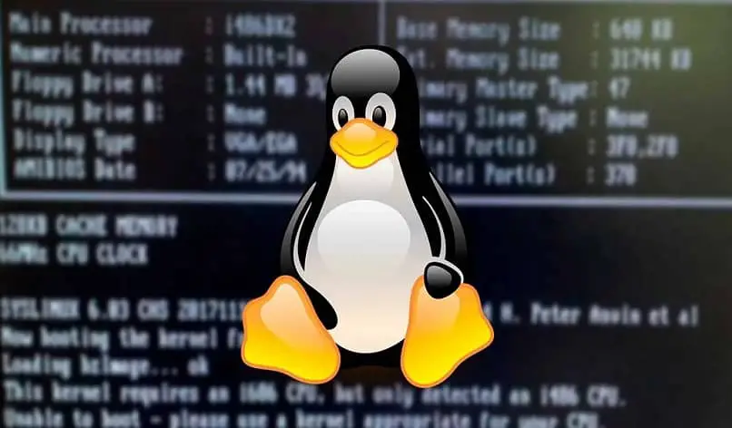 Pinguin-Linux-Bildschirm mit Codes