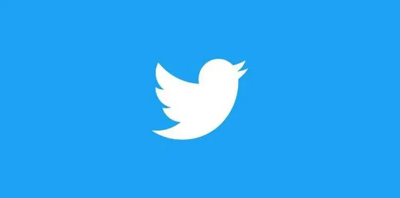 weißer vogel blauer hintergrund twitter