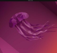 20-Hide-Icons-Desktop-Ubuntu.jpg