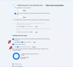 13-Konfigurieren-Downloads-von-anderen-Computern-zulassen-Windows.png