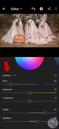 11-How-to-Match-Effect-in-Lightroom-Mobile.jpg