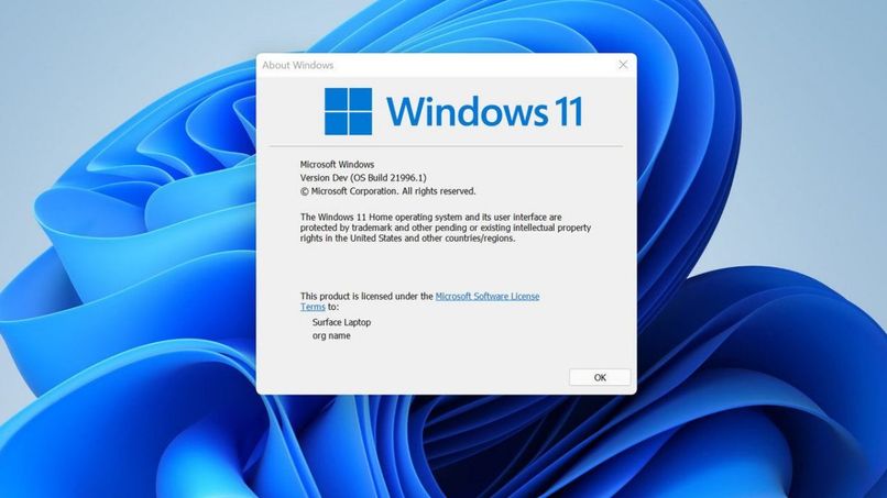 Windows 11 Verzögerung im System entfernen